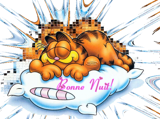 Bonne nuit  tout le monde